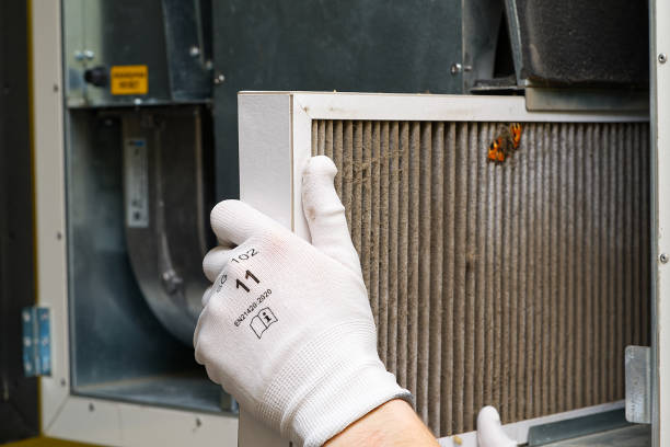 Best Affordable HVAC Duct Cleaning  in Minden, LA